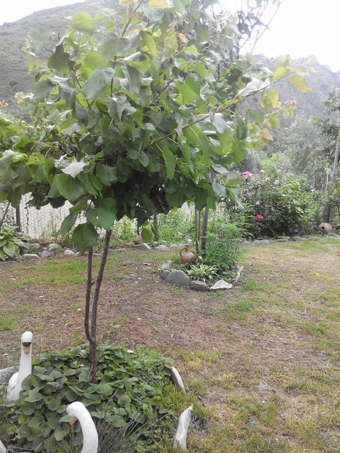 Villa Piano Mtsʼkhetʼa Buitenkant foto